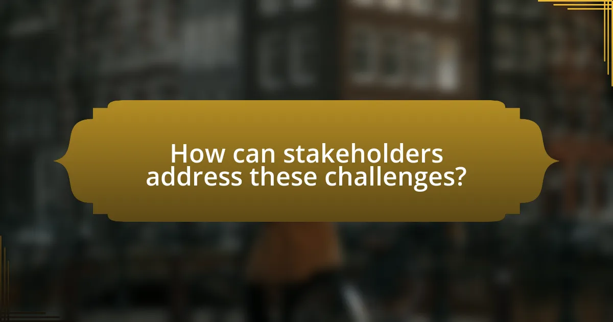 How can stakeholders address these challenges?