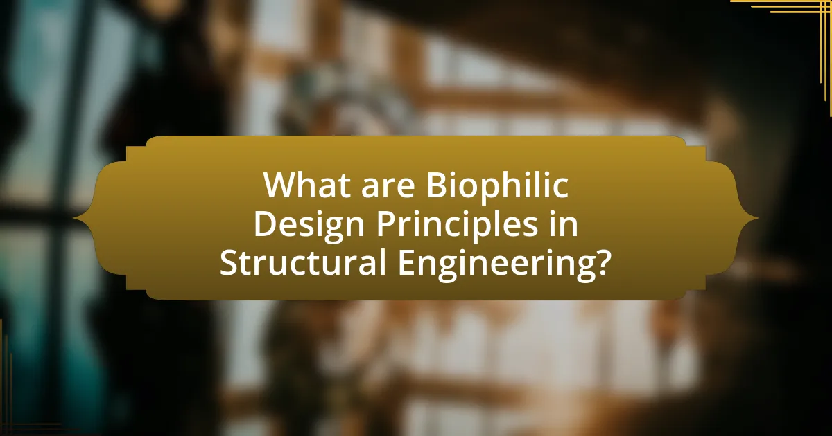 What are Biophilic Design Principles in Structural Engineering?