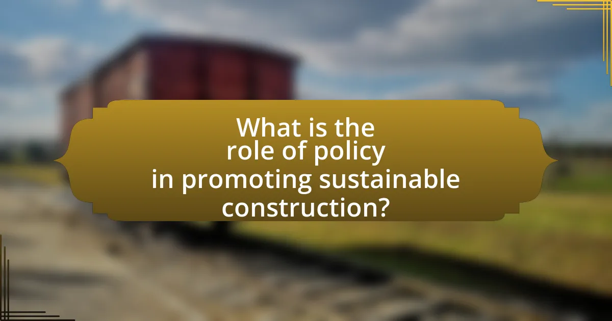 What is the role of policy in promoting sustainable construction?